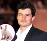 orlando bloom