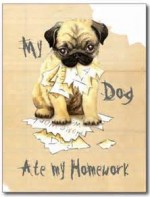 pugdog ate homework