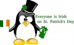 Irish everyone