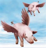 flying pigs