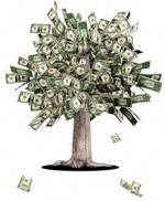 money-tree